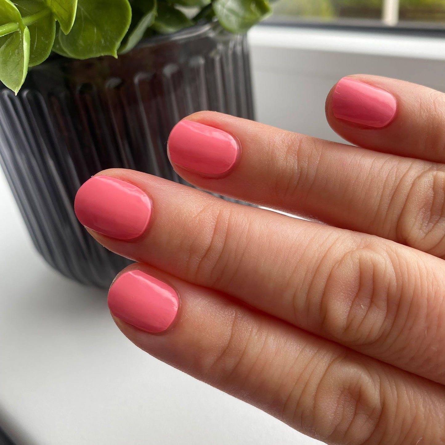 Last Light // Gel Strips